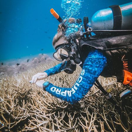 Dpm Koh Tao Diving Hotel & Bar المظهر الخارجي الصورة