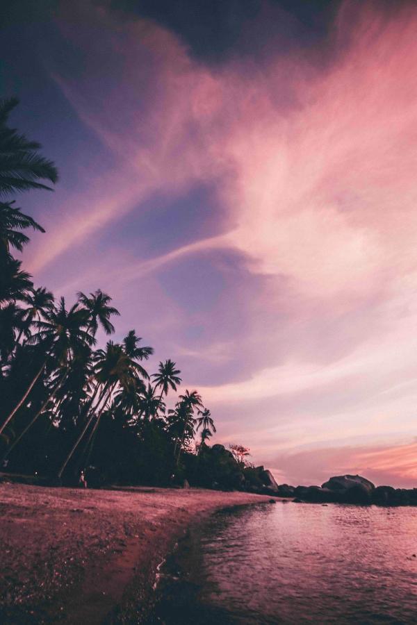 Dpm Koh Tao Diving Hotel & Bar المظهر الخارجي الصورة