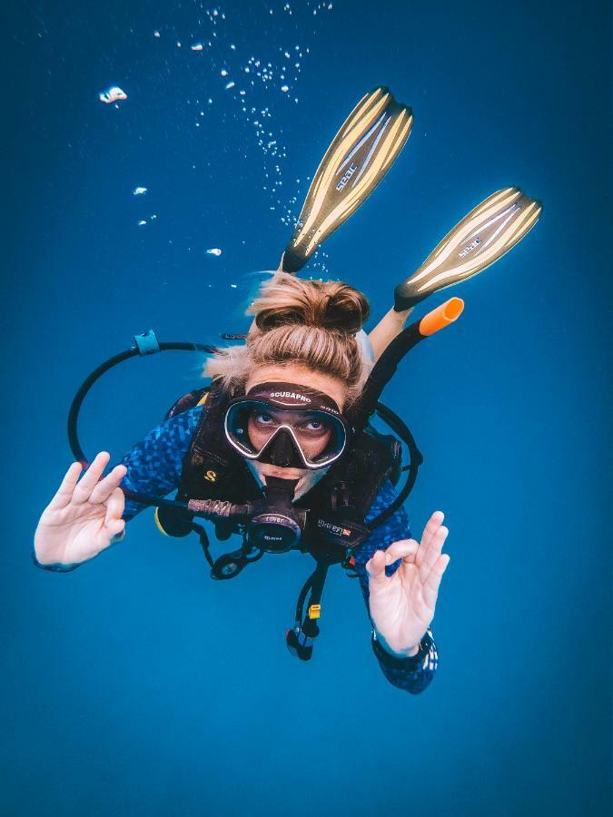 Dpm Koh Tao Diving Hotel & Bar المظهر الخارجي الصورة